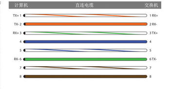 从客厅到卧室网线连接方案 实现两台电脑同时上网